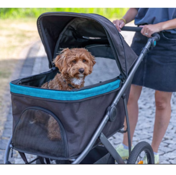 Poussette pour chien tout terrain