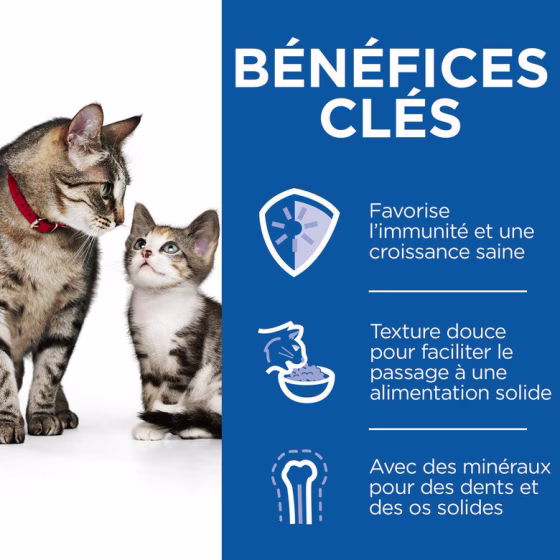 Feline Kitten mousse pour chaton