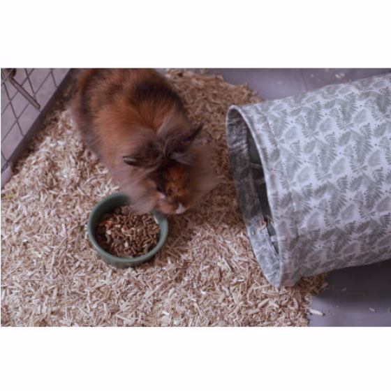 Gamelle pour lapin NLIFE 150 ML