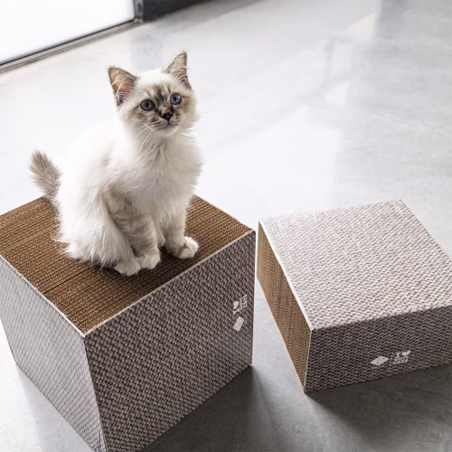 Griffoir carton hauteur différente FREYA