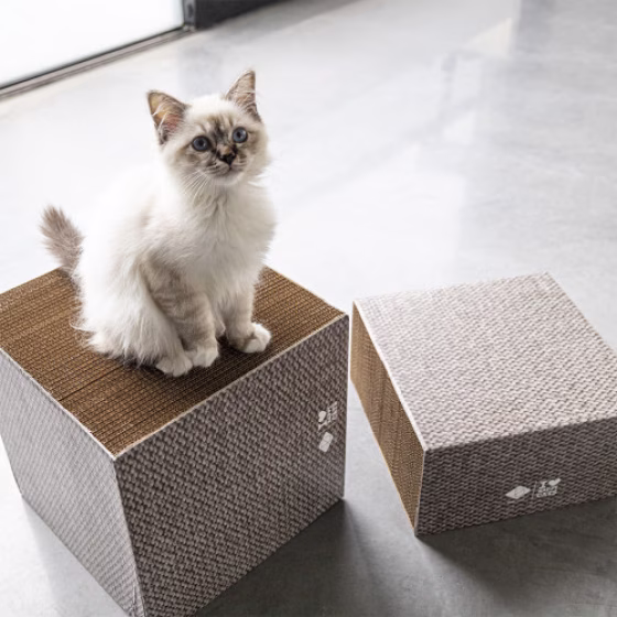 Griffoir carton hauteur différente FREYA