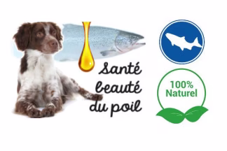 Huile de poisson pour chien ! Quel poisson ! Pour quel bienfait !