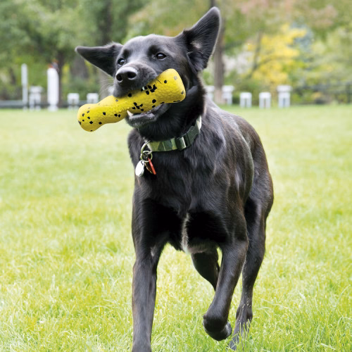 Jouet KONG reflex stick
