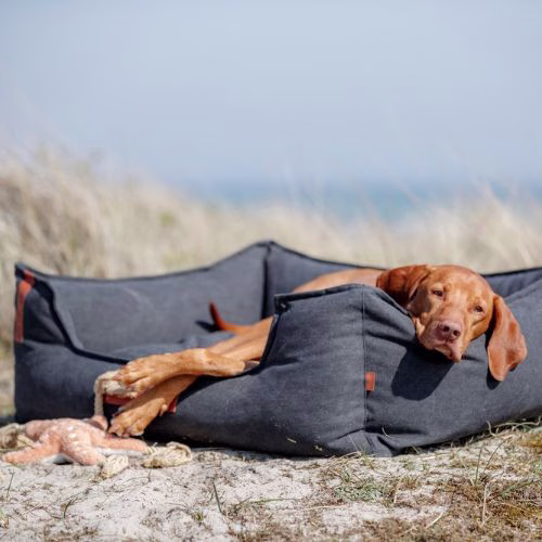Lit chien XXL : Panier grand chien Be Nordic NOIR
