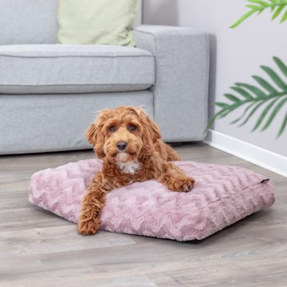 Coussin orthopédique, mémoire de forme, déhoussable Loki