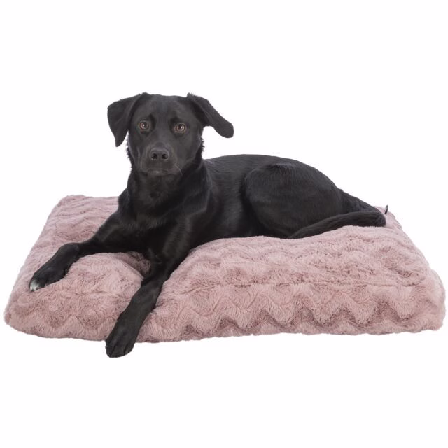 Coussin orthopédique, mémoire de forme, déhoussable Loki
