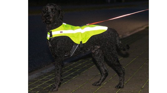 Quels sont les critères pour un gilet jaune ?