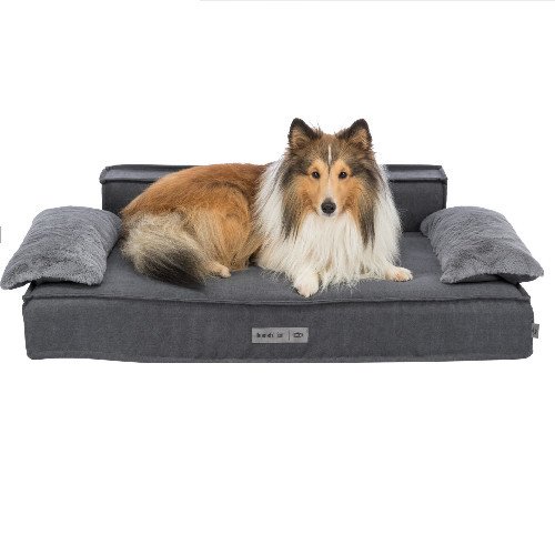 Canapé pour chien XXL