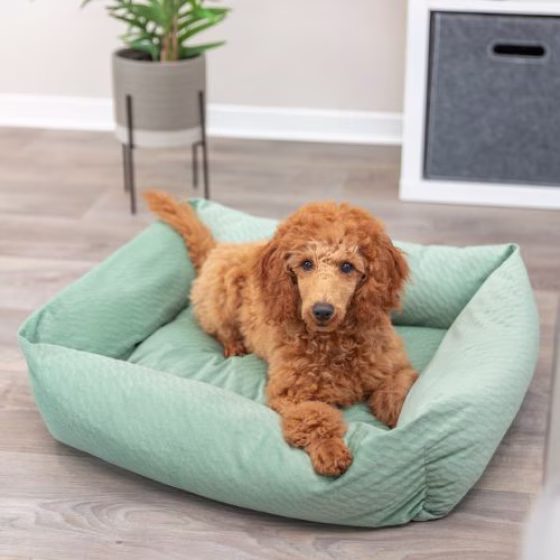 Lit Alena pour chien Sauge