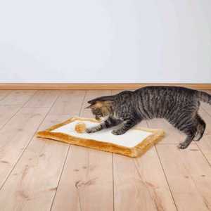 Le tapis une solution efficace comme lime griffe !