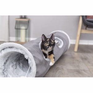 Le tunnel un espace confiné pour chat