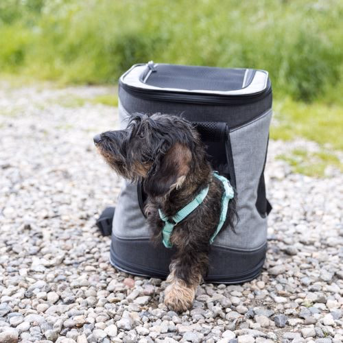 Sac à dos Timon pour chien et chat : 10 ou 12 kg max
