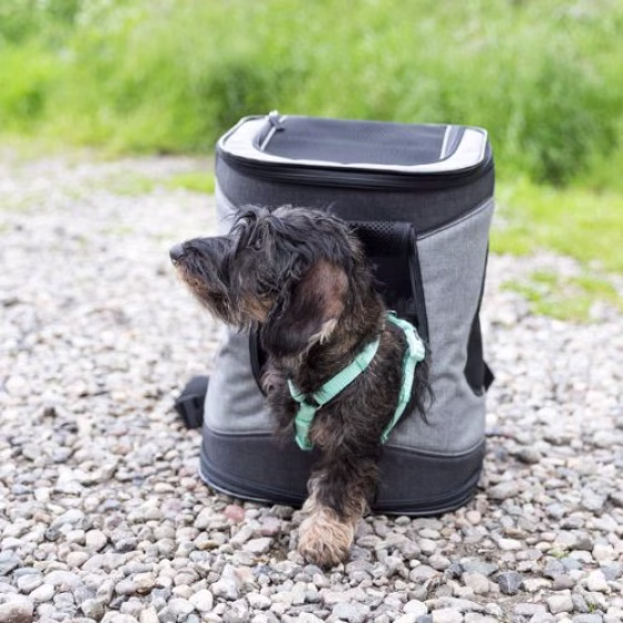 Sac à dos Timon pour chien et chat : 10 ou 12 kg max