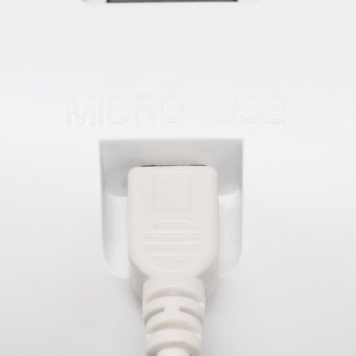image 1.png