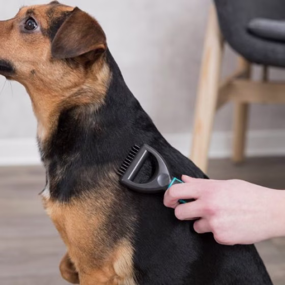Étrille Universelle pour chien et chat Bleu