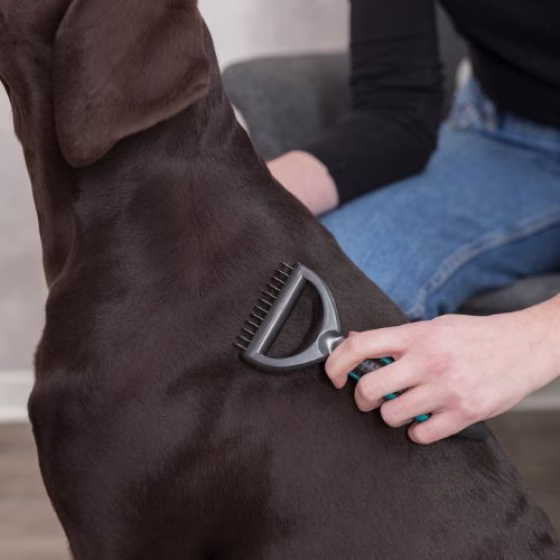 Étrille Universelle pour chien et chat Bleu
