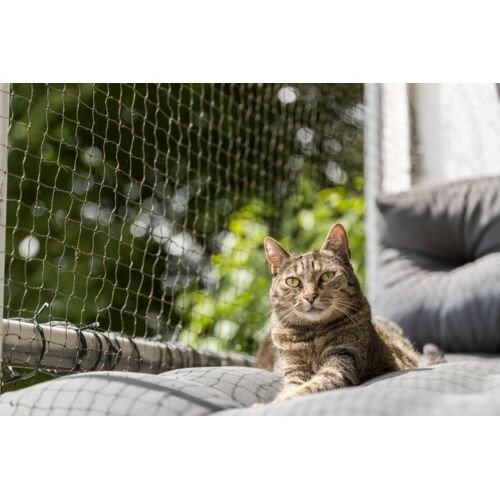 Le filet pour chat