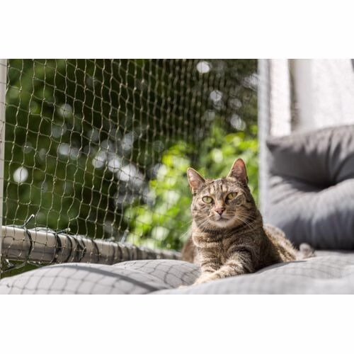 Le filet pour chat