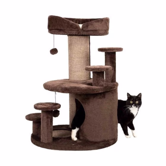 176520_PHO_PRO_CAT_CLIP_44930-1.jpg