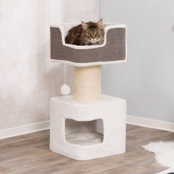 Arbre à chat XXL, pour gros chat, Maine Coon : Ava