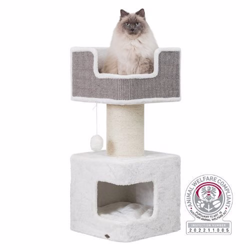 Arbre à chat XXL, pour gros chat, Maine Coon : Ava