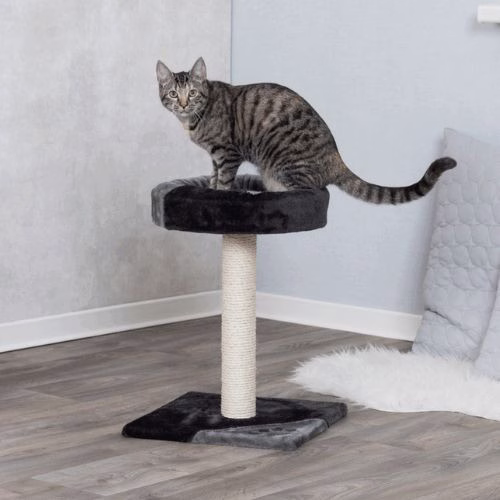 poste-rascador-para-gatos-tarifa-trixie.jpg