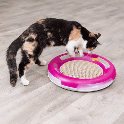 Jeu avec griffoir carton Race & Scratch