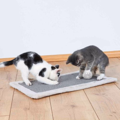 Tapis griffoir avec jouet suspendu chat