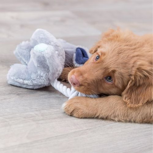 Jouet chien Junior avec son