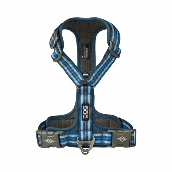 image 5.png