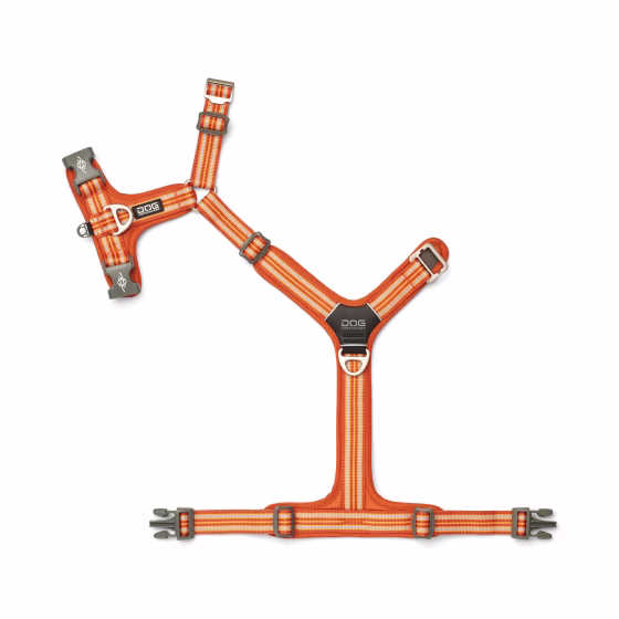 image 4.png