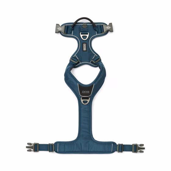 image 4.png