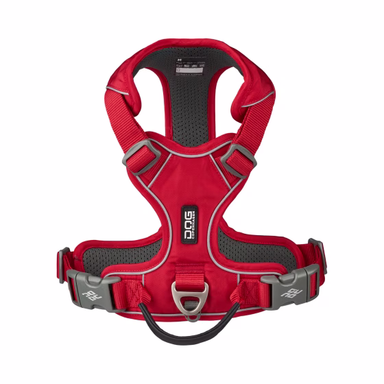 image 1.png