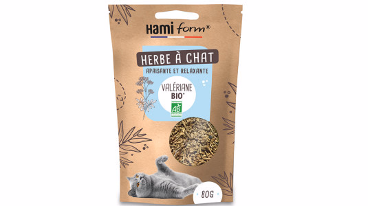 La valériane comme attractif pour chat