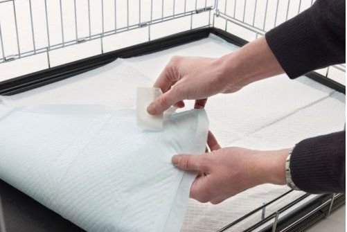 Comment attirer mon chien sur le tapis de propreté ?
