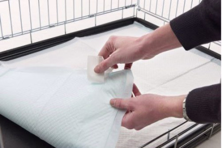 Comment attirer mon chien sur le tapis de propreté ?