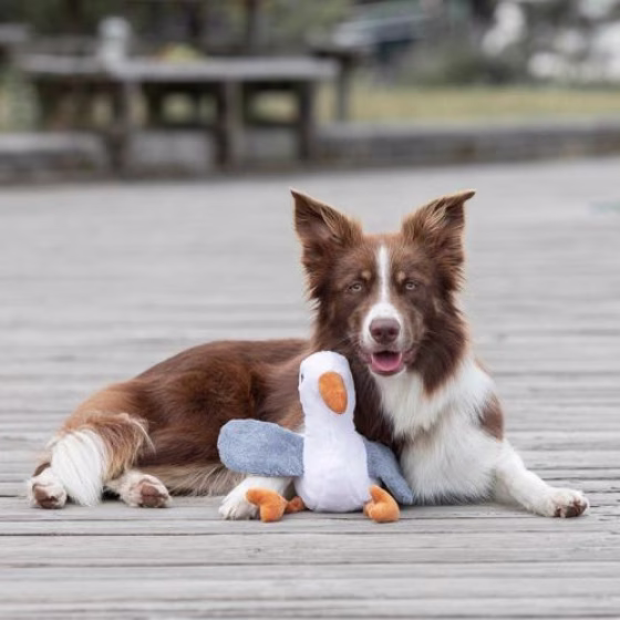 Peluche Mouette Hinnerk BE NORDIC