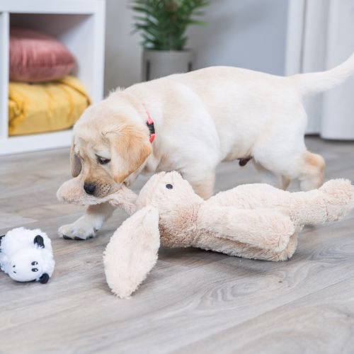 Peluche Lièvre