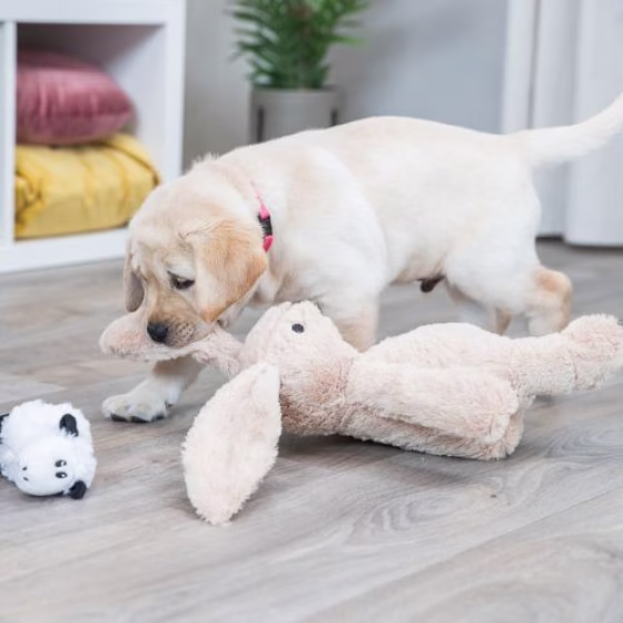 Peluche Lièvre