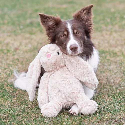 Peluche Lièvre