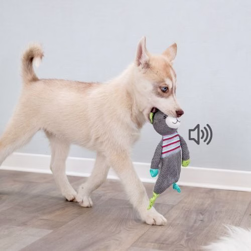 Quel jouet pour occuper un chiot, comment éviter qu'il s'ennuie ?