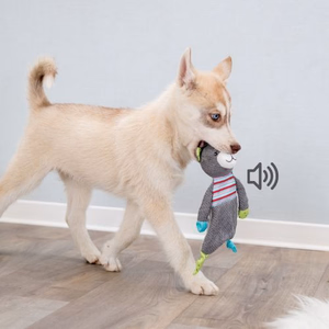 Quel jouet pour occuper un chiot, comment éviter qu'il s'ennuie ?