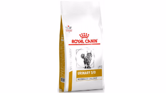 Mon chat a de l'embonpoint, quelles croquettes Royal Canin ?