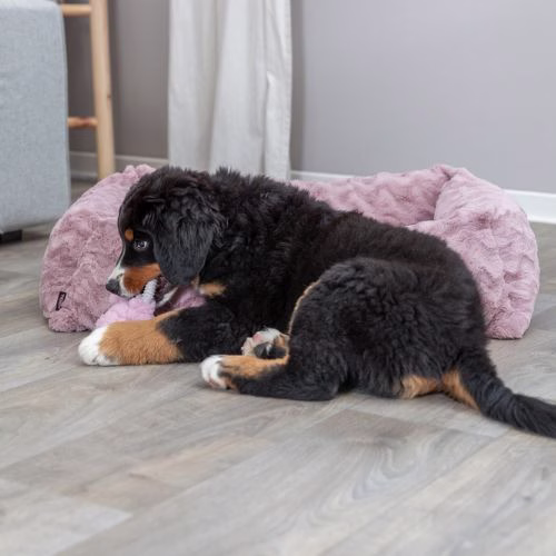 Panier orthopédique chien : mémoire de forme, couchage confortable Loki ROSE