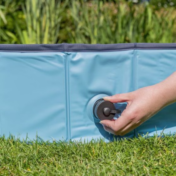 Piscine pour chien