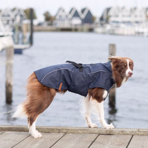 Imperméable Be Nordic Husum pour chien bleu foncé