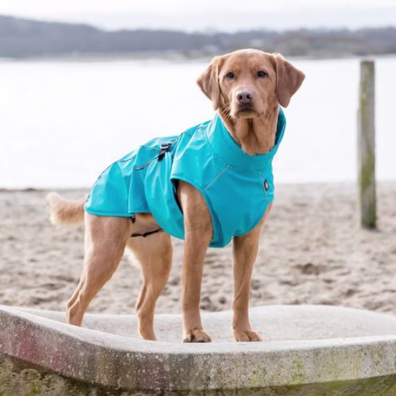 Manteau Imperméable pour chien Vimy Bleu