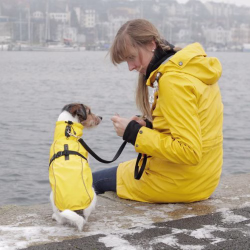 Imperméable pour chien : Vimy jaune