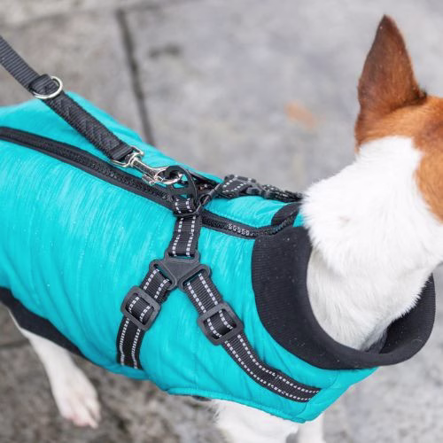 Manteau pour chien avec harnais intégré : Polaire, Pontis