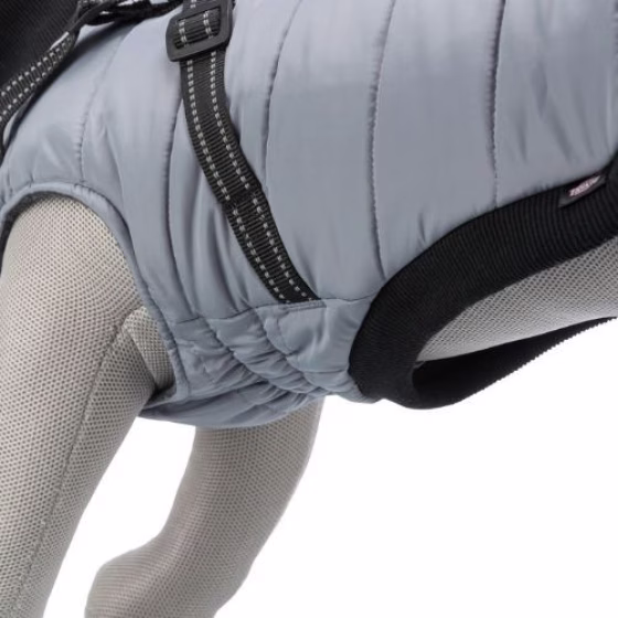 Manteau harnais pour chien intégré au manteau pratique Pontis